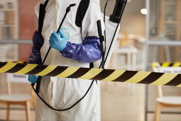 Professional Hoarding Cleanup technician working in York, ME